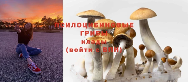 спайс Касимов