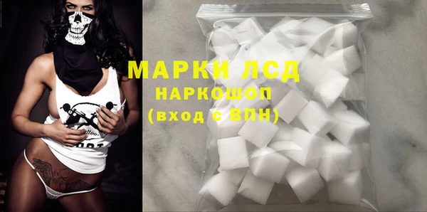 spice Карпинск