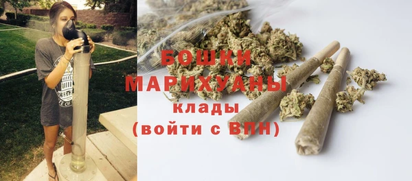 spice Карпинск